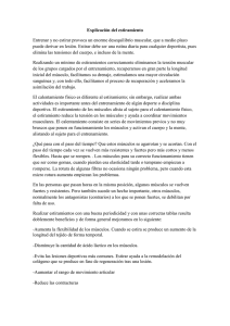 Descargar documento de estiramientos