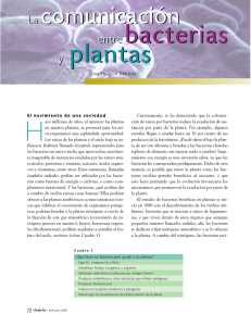 entre bacterias y plantas entre bacterias y plantas