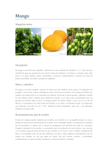 Mangifera indica Descripción Dulce y calorífico Recomendaciones
