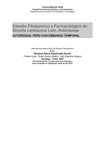 Estudio Fitoquímico y Farmacológico de Encelia canescens Lam
