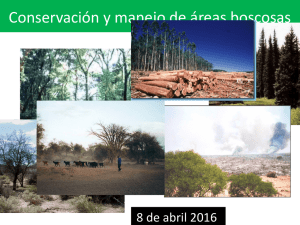Conservación y manejo de áreas boscosas