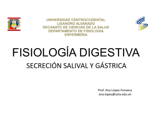 Secreción gástrica - Universidad Centroccidental "Lisandro Alvarado"