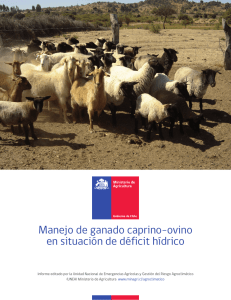 Manejo de ganado caprino-ovino en situación de déficit hídrico