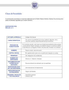 Tipos de Sociedades: Resumen Legal en M&eacute;xico