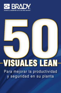 visuales lean