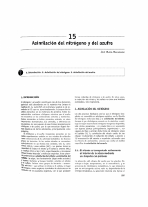 15 Asimilación del nitrógeno y del azufre