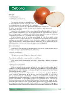 Cebolla - FEN. Fundación Española de la Nutrición