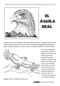 El águila real es un ave majestuosa, tanto por su