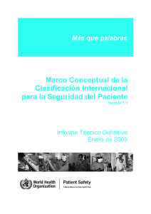 Marco Conceptual de la Clasificación Internacional para la