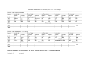 PRIMER CUATRIMESTRE curso 2013/14 primer curso Grado