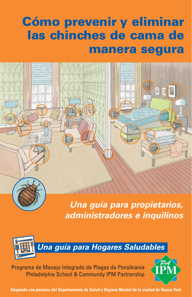 Como exterminar las chinches de cama