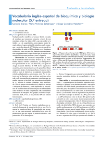 Vocabulario inglés-español de bioquímica y biología molecular (5.ª