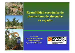 Rentabilidad económica de plantaciones de almendro en regadío