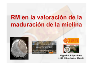 02-RM en la valoración de la maduración de la mielina