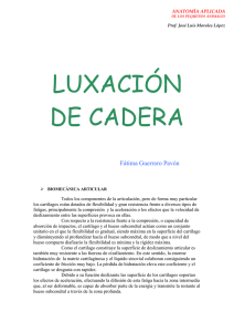 LUXACIÓN DE CADERA