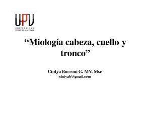Miolog&iacute;a cabeza, cuello y tronco