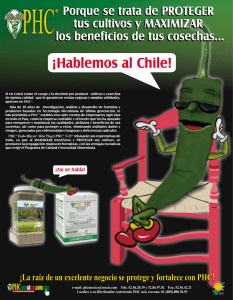 An_Chile bj.cdr