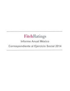 Informe Anual México Correspondiente al Ejercicio Social 2014