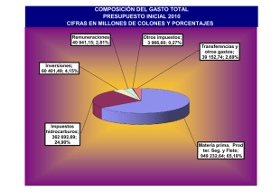 detalle de gastos del 2010