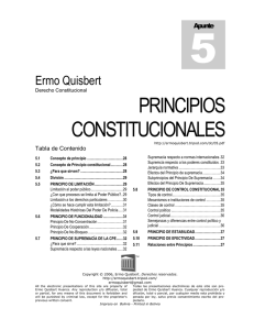 principios constitucionales - Ermo Quisbert
