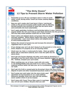 "The Dirty Dozen" 12 Tips to Prevent Storm Water Pollution