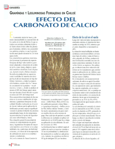 efecto del carbonato de calcio