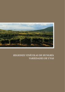 Las regiones vinícolas húngaras y las variedades de uva más