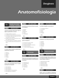 Anatomofisiología