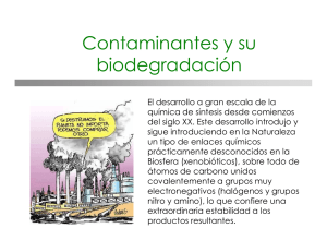 Contaminantes y su biodegradación