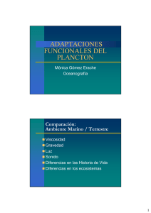 adaptaciones funcionales del plancton