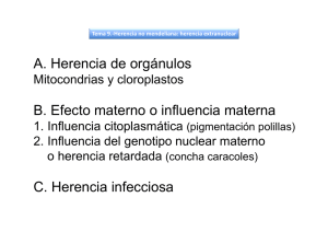A. Herencia de orgánulos B. Efecto materno o influencia materna C
