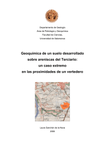 Geoquímica de un suelo desarrollado sobre areniscas del