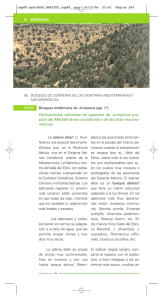 Bosques endémicos de Juniperus spp.