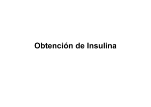 Obtención de Insulina. Cedido por el Prof. Alfonso Segura, Colegio