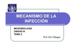 mecanismo de la infección - Web del Profesor