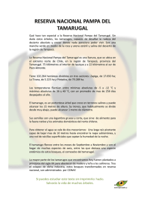 RESERVA NACIONAL PAMPA DEL TAMARUGAL