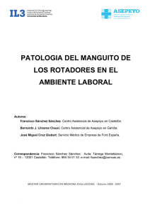 PATOLOGA DEL MANGUITO EN EL MBITO LABORAL