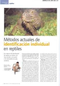 Metodos actuales de identificación en reptiles