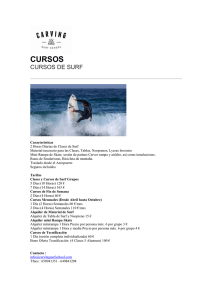 Catálogo cursos PDF - Carving Surf School, clases de surf y para