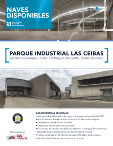 Flyer impreso Parque Industrial LAS CEIBAS
