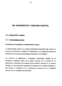 XIII. DIAGNÓSTICO Y ANÁLISIS VEGETAL