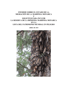 informe sobre el estado de la migración de la mariposa monarca y