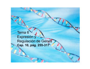 Tema 6 Expresión y Regulación de Genes