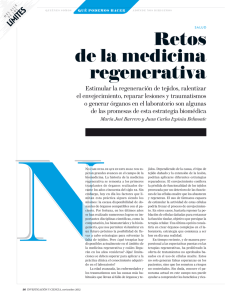 medicina regenerativa - Investigación y Ciencia