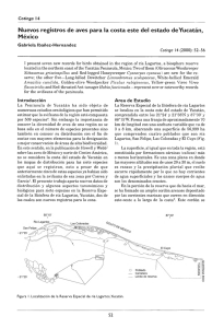 Nuevos registros de aves para la costa este del estado de Yucatán