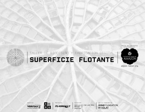Superficie flotante | Robert Garita