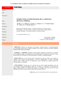 estructura e inmunología de la sinovial humana normal.