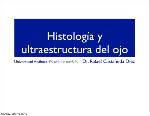 Anatomía de la Cámara Anterior, Ángulo, Iris, Cuerpo Ciliar y