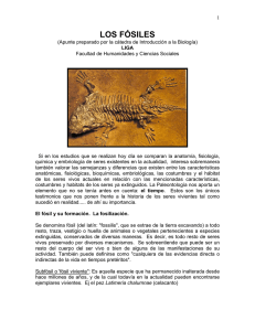 los fósiles - Introducción a la Biología (LIGA)