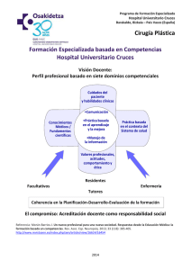 Programa Formaci&oacute;n Cirug&iacute;a Pl&aacute;stica - Hospital Cruces